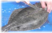 Video: kelas master tentang filleting flounder